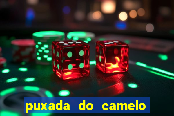 puxada do camelo jogo do bicho